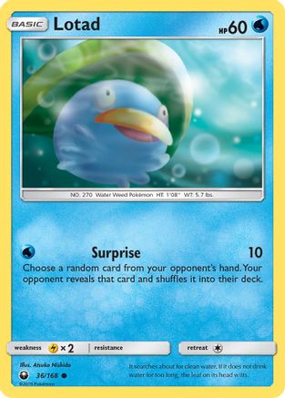 Lotad (36) - Celestial Storm