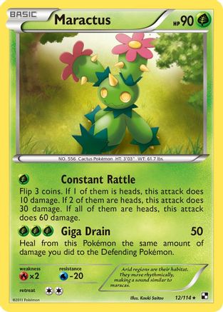 Maractus (12) - Black & White