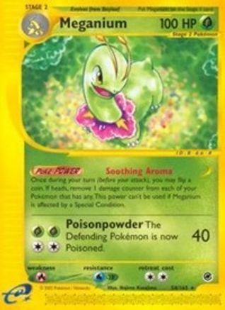 Meganium (54) - Expedition