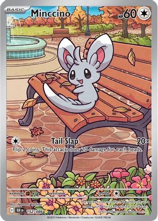 Minccino (152) Holofoil - Black Bolt