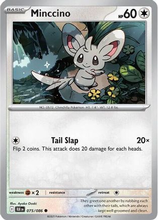 Minccino (75) - Black Bolt