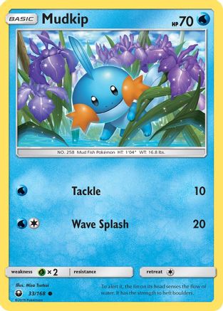 Mudkip (33) - Celestial Storm