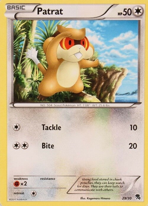 Patrat (29) - Trainer Kit: Excadrill & Zoroark