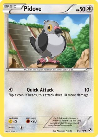 Pidove (84) - Black & White