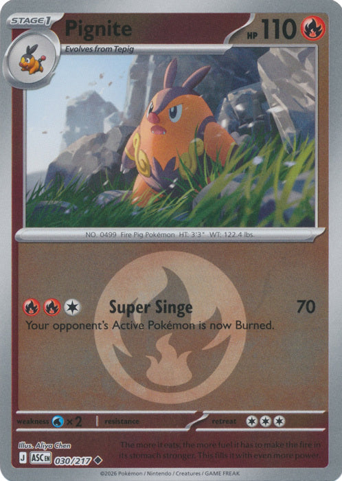 Pignite (Energy Symbol Pattern) (30) Reverse Holofoil - Ascended Heroes