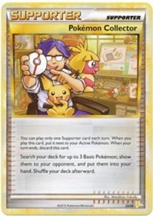 Pokemon Collector (22) - Trainer Kit: Gyarados & Raichu