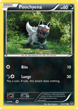 Poochyena (53) Reverse Holofoil - Phantom Forces