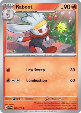 Raboot (37) Reverse Holofoil - Ascended Heroes