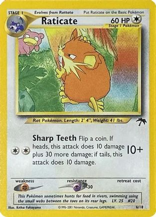 Raticate (6) - Southern Islands
