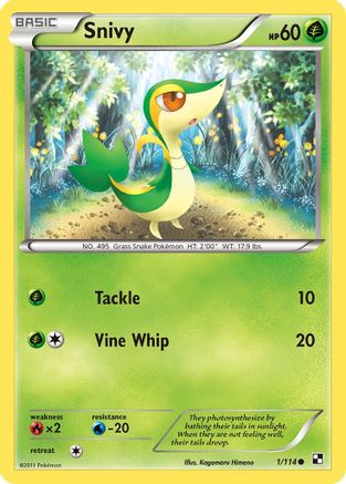 Snivy (1) Reverse Holofoil - Black & White