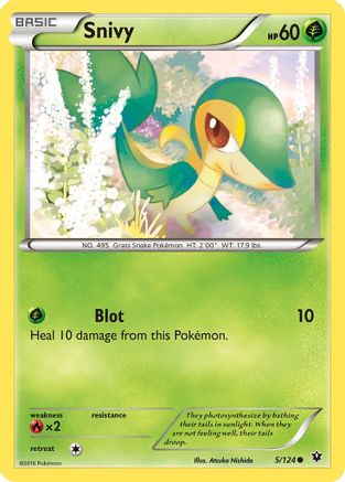 Snivy (5) Reverse Holofoil - Fates Collide