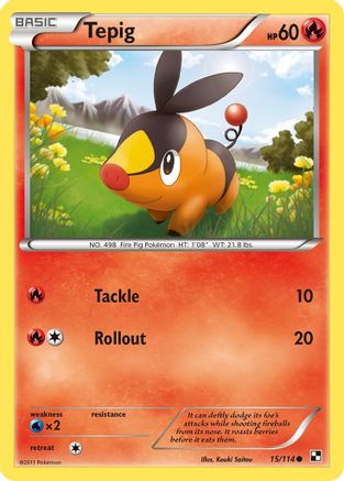 Tepig (15) - Black & White