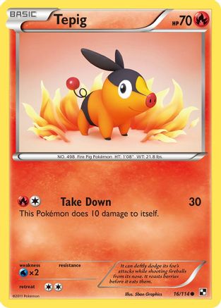 Tepig (16) Reverse Holofoil - Black & White