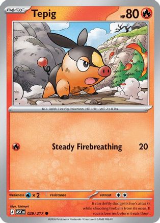 Tepig (29) Reverse Holofoil - Ascended Heroes