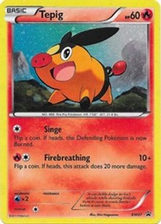 Tepig (BW07) Holofoil - Black Star Promos