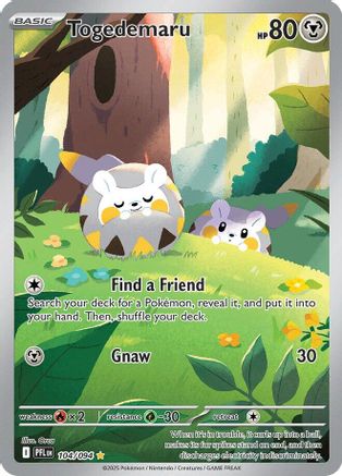Togedemaru (104) Holofoil - Phantasmal Flames