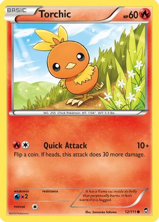 Torchic (12) - Furious Fists