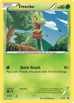 Treecko (XY36) Holofoil - Black Star Promos