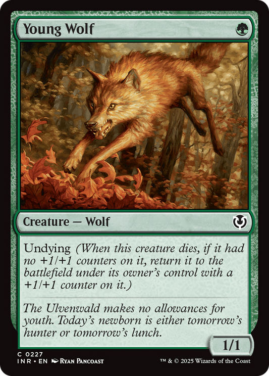 Young Wolf (227) Foil - Innistrad Remastered