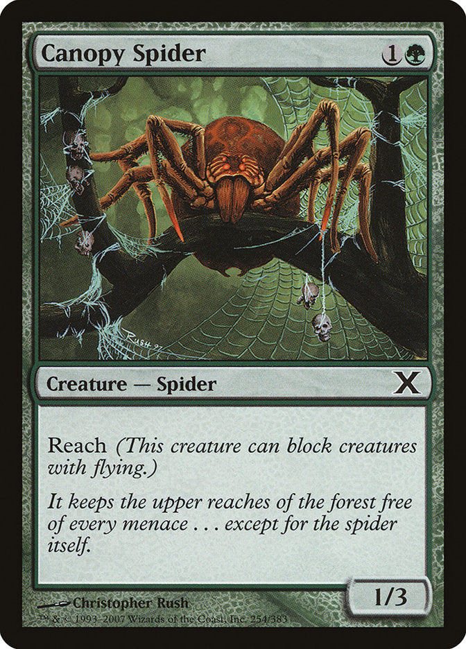 Canopy Spider [Tenth Edition] | Silver Goblin