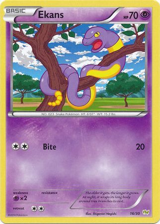 Ekans (16/30) [XY: Trainer Kit - Noivern] | Silver Goblin