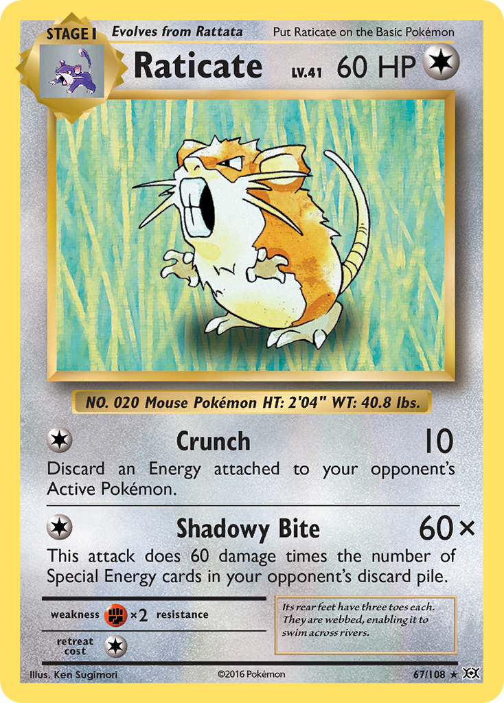 Raticate (67/108) [XY: Evolutions] | Silver Goblin