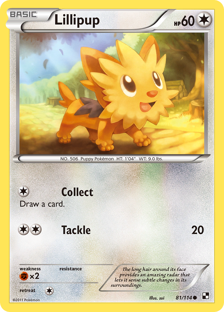 Lillipup (81/114) [Black & White: Base Set] | Silver Goblin