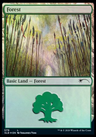 Forest (Elves) (579) [Secret Lair Drop Promos] | Silver Goblin