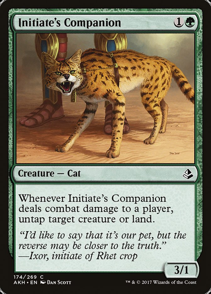 Initiate's Companion [Amonkhet] | Silver Goblin