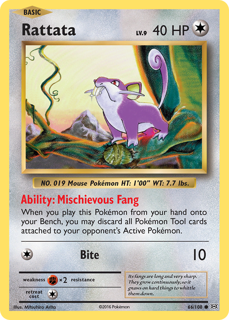 Rattata (66/108) [XY: Evolutions] | Silver Goblin